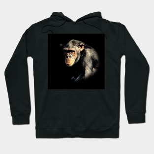 Chimpanzee Hoodie